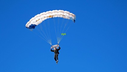 鹈鹕主帅确认，威廉森恢复训练，有望明日复出助力关键战